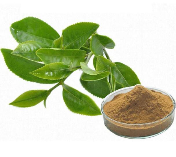 20220624142434e345fbf6acec4d3a945540dc14d6dc7b-1 20220624142434e345fbf6acec4d3a945540dc14d6dc7b-1