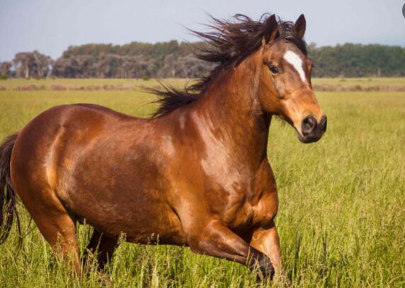 2022070714250568d390bcc82140ccb037230d1ada3022-1 2022070714250568d390bcc82140ccb037230d1ada3022-1