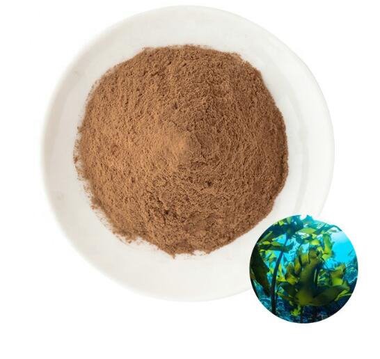 20220711143642f438257bb87b42f08c4f9546ba634297 20220711143642f438257bb87b42f08c4f9546ba634297