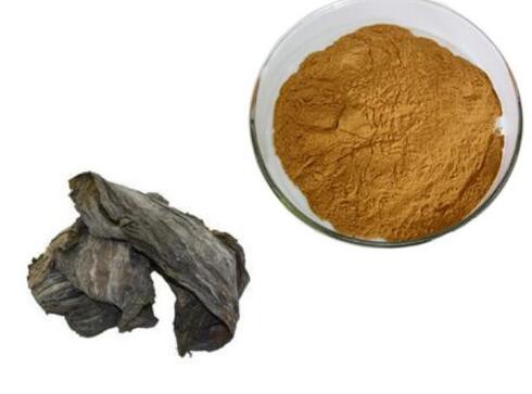 20220711143802438acdbe162d4a9db83747a8c67f9e86 20220711143802438acdbe162d4a9db83747a8c67f9e86