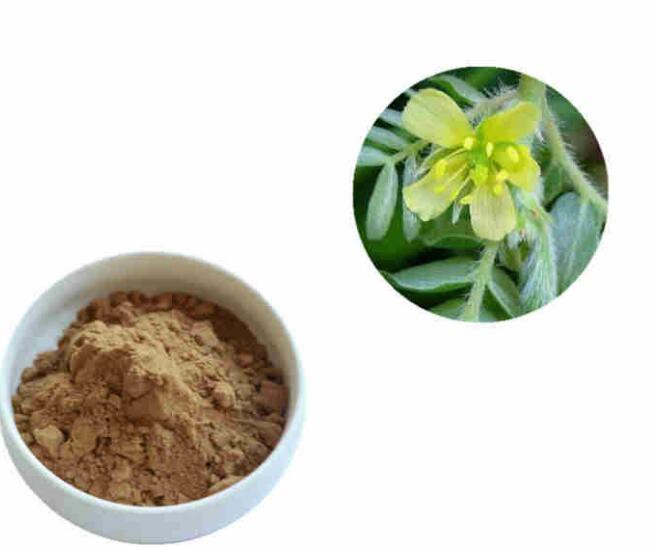 2022072613230059893fc3dddf45c2833b4303a804161c-5