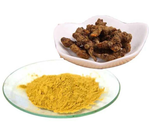 202208021552260ae369cd42d04dd59de7a90965cd9ea5-1 202208021552260ae369cd42d04dd59de7a90965cd9ea5-1