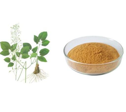 20220822145538fafa13e72bf44c74b9ac57546071d39d