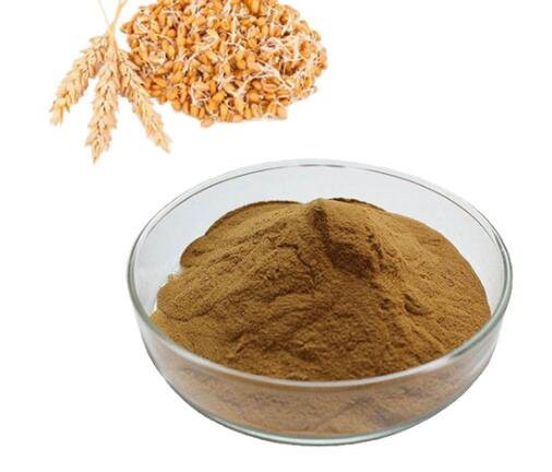 20220913134338a768b705269e436ba7cc00bcbfd10f44-1