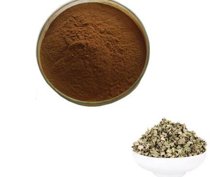 20221024165915249bd9f8988c47adafee475a946ff481-1 20221024165915249bd9f8988c47adafee475a946ff481-1