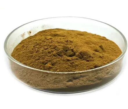 20230213141752d289f11992324669827f529471c80a4a 20230213141752d289f11992324669827f529471c80a4a