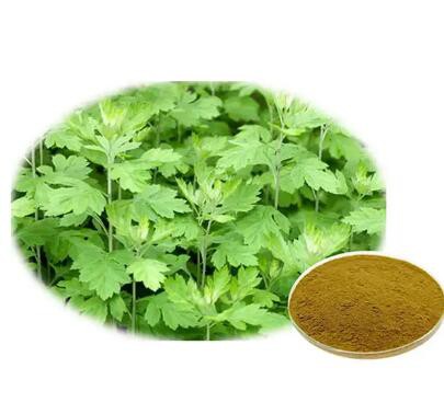 2023022115392871afc9370fa84a3ea7fbfec3f6505b51 2023022115392871afc9370fa84a3ea7fbfec3f6505b51