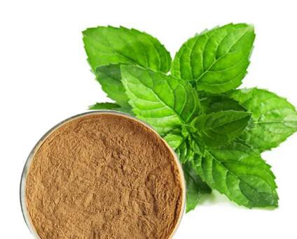 20230302140731403e9471e0e64667afad6235cafce715 20230302140731403e9471e0e64667afad6235cafce715