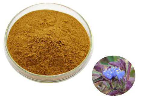 202303141110509ad699692f49430fbfb72f3a8cb81a92-2 202303141110509ad699692f49430fbfb72f3a8cb81a92-2