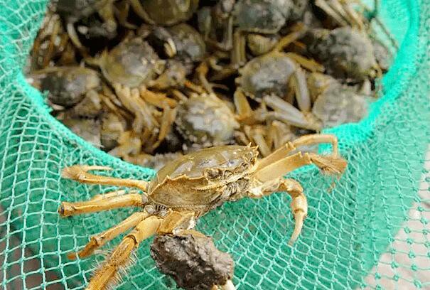 202303141138208a3c191da5bd491eb57c7eb787aec04c-1 202303141138208a3c191da5bd491eb57c7eb787aec04c-1