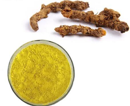 20230412151134d7295b3800554b04a4a9af786965df6c 20230412151134d7295b3800554b04a4a9af786965df6c