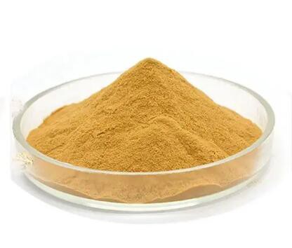 202304271426274492798535fd4b56818e44454832b83a-1 202304271426274492798535fd4b56818e44454832b83a-1