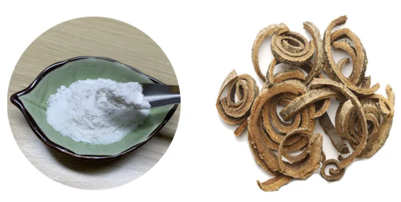 2023051515231994062bbd766148079dcc03592c1ff84f 2023051515231994062bbd766148079dcc03592c1ff84f