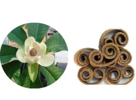 202305151523348e36c5cc9b02473aa99736e5b7eb5154 202305151523348e36c5cc9b02473aa99736e5b7eb5154