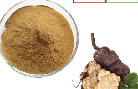 20230529113828c8809b39d28c40fcb86d802447e5f7ef