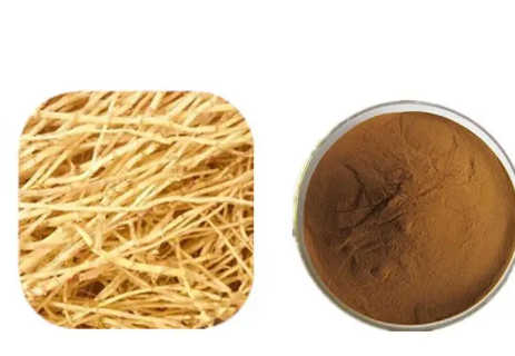 2023053113542751092f523f96400685a4b0354d5262c6 2023053113542751092f523f96400685a4b0354d5262c6