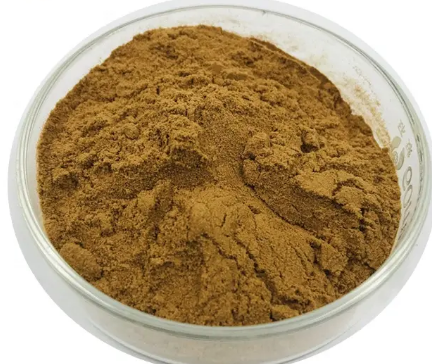 202306061059327d0448276cc44db8a773b6b55a5935a7 202306061059327d0448276cc44db8a773b6b55a5935a7