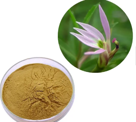 202306121449591e33e1a6b9354466b2671f559ba7b475-1 202306121449591e33e1a6b9354466b2671f559ba7b475-1