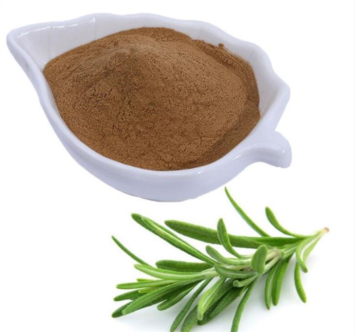 rosemary-extract57592856215 Rosemary Extract57592856215