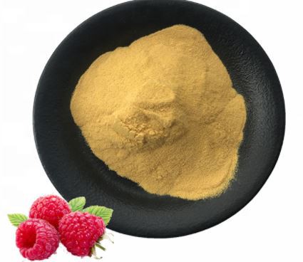 red-raspberry-leaf-powder56414583106 Red Raspberry Leaf Powder56414583106