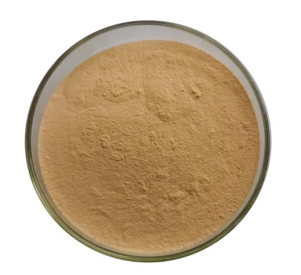 chromium-rich-yeast30537313888 Chromium Rich Yeast30537313888