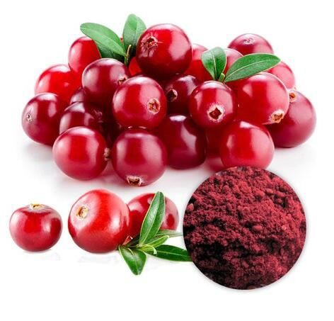 cranberry-extract18424981871 Cranberry Extract18424981871