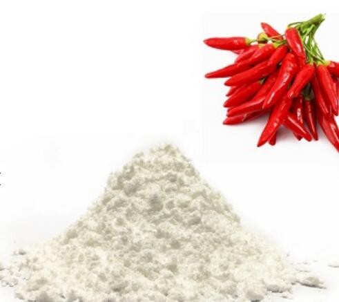 capsaicin-extract07380903891 Capsaicin Extract07380903891