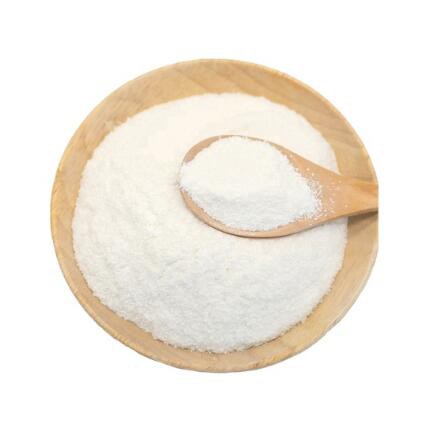 lactobacillus-fermentum54152907954 Lactobacillus Fermentum54152907954