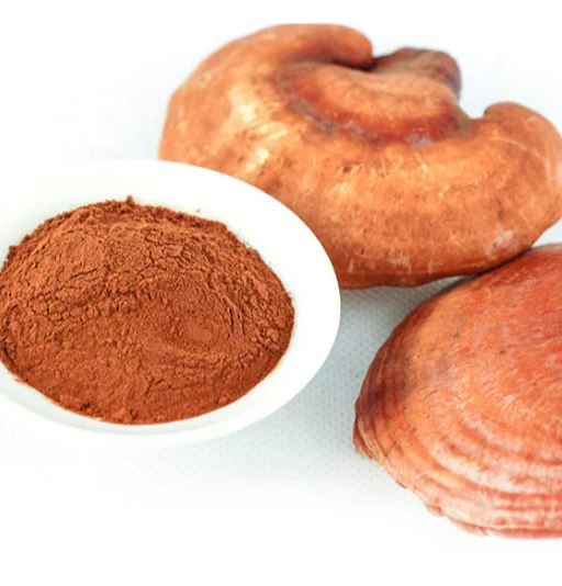 red-reishi-mushroom-extract49545428653 Red Reishi Mushroom Extract49545428653