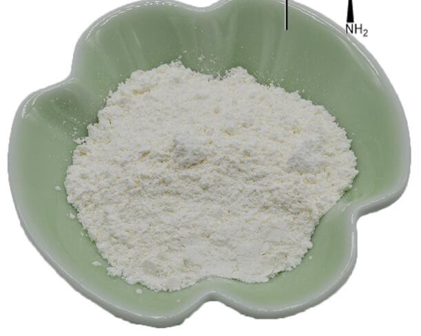 l-leucine-powder33216834553 L Leucine Powder33216834553