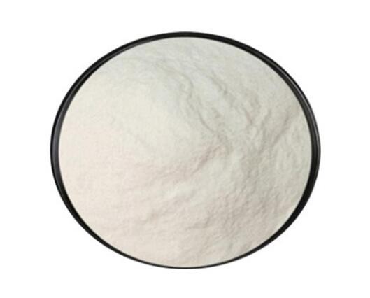 bifidobacterium-animalis58099706116 Bifidobacterium Animalis58099706116