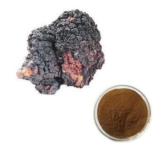 chaga-extract42348530478 Chaga Extract42348530478