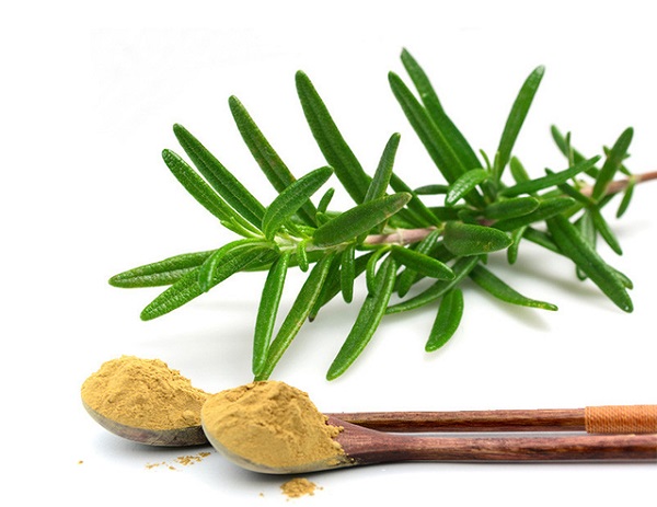 ローズマリーエキス